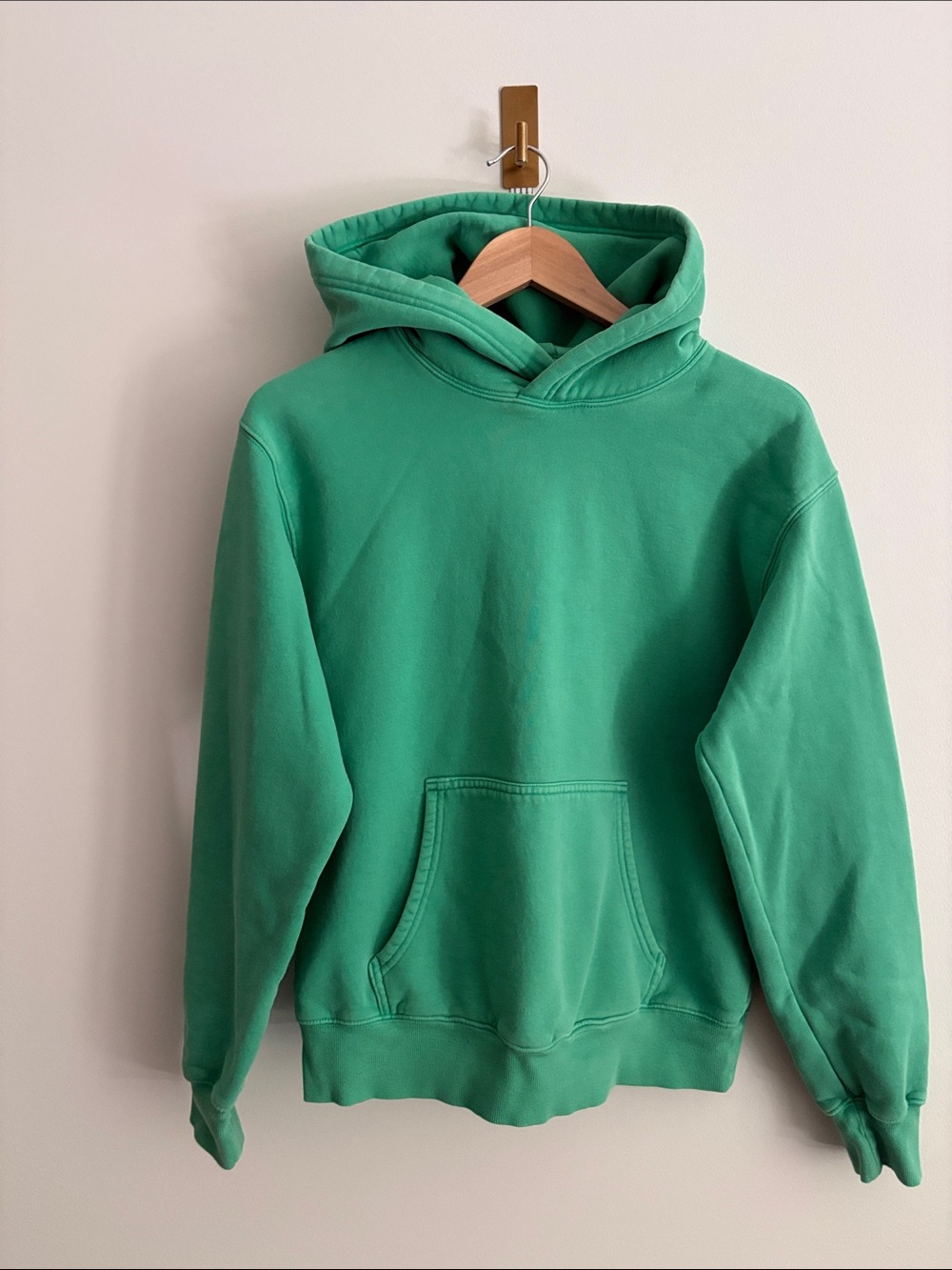 Aritzia Cozy Sweatfleece Perfect Hoodie in Washed Green Embroidered Logo Size M